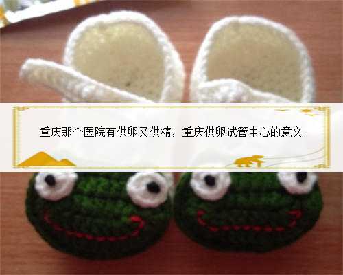 重庆那个医院有供卵又供精，重庆供卵试管中心的意义