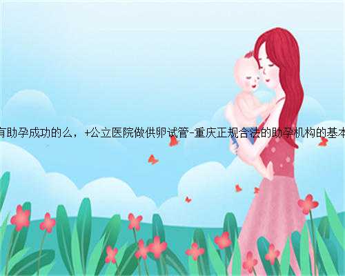 重庆有助孕成功的么， 公立医院做供卵试管-重庆正规合法的助孕机构的基本概