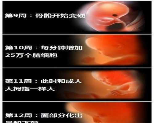 54岁失独求子_失独助孕_北京规定5月1日前大医院需签拒收红包协议