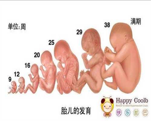 高龄失独二胎_泰国好孕：好事成双、儿女双全，又有两个家庭在喜获二宝娃！