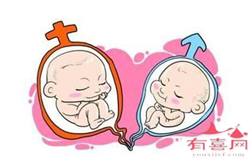 重庆代怀双胞胎公司机构，重庆市单独二胎最新政策